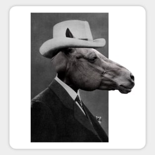 Horse Face Sticker